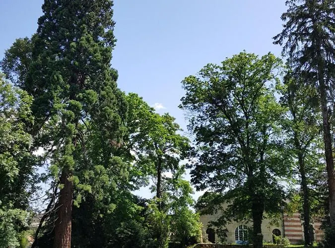 Bed & Breakfast La Bastide Champenoise - D'hotes 3*